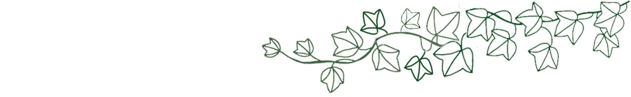 ivy-header14