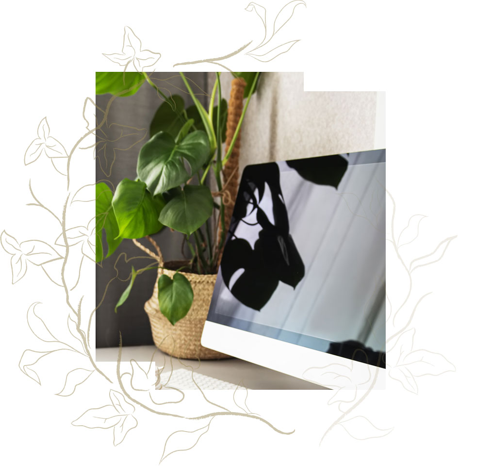 ivy-pricing-bg-SQUARE2