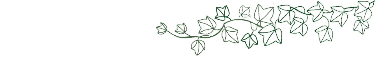 Soft green flowers in a natural serene composition.