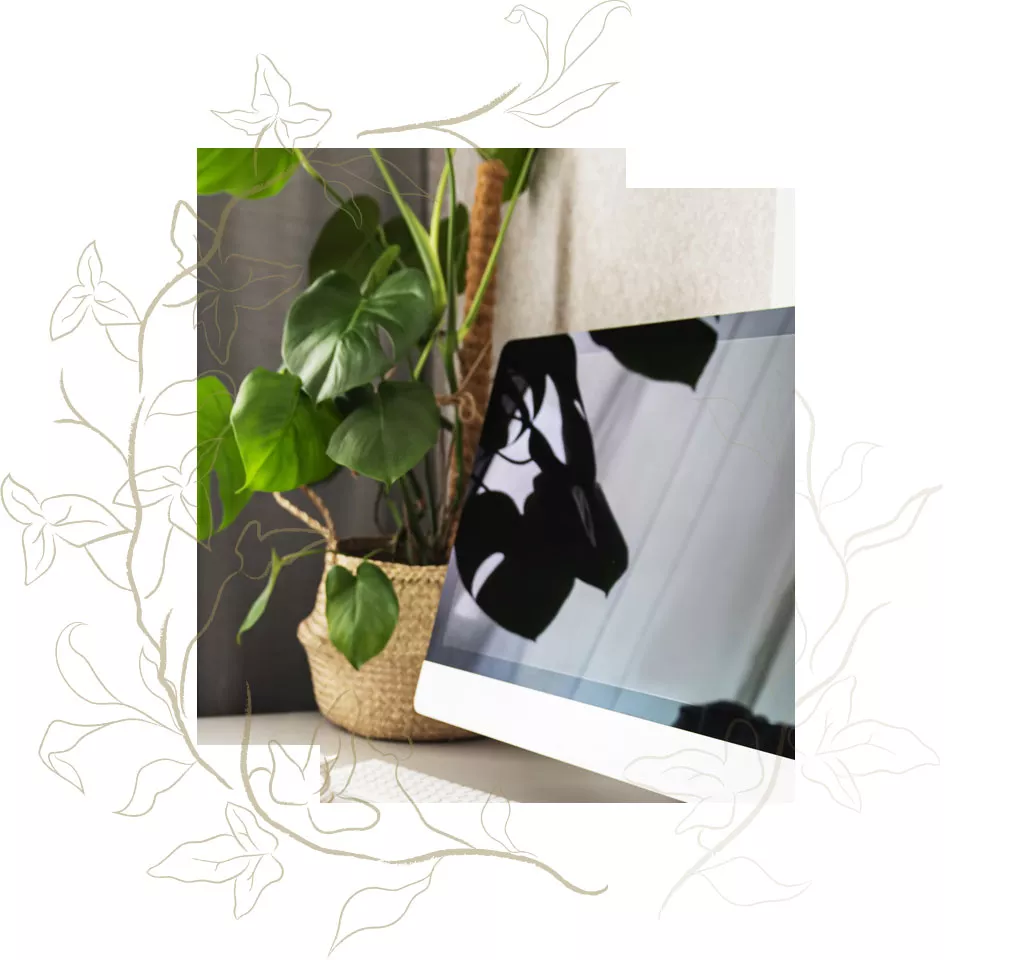Luxury minimalist plant decor symbolizing calm, organization, and premium assistant services.