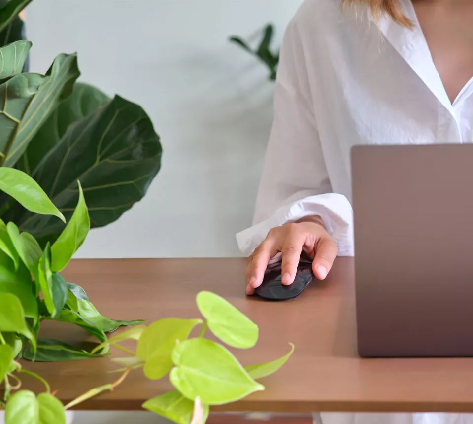 pricing luxury escort support services Ivy Assists